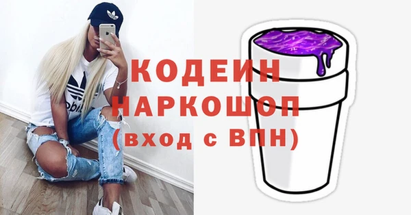 шишки Заводоуковск