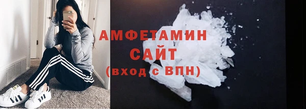 шишки Заводоуковск