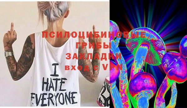 шишки Заводоуковск