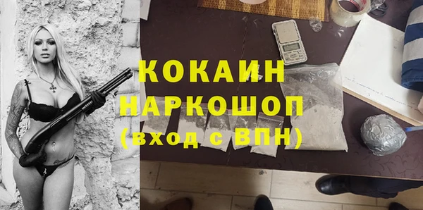 индика Заволжск