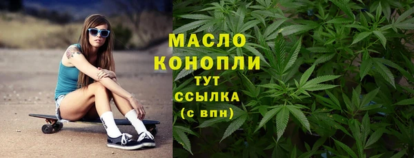 индика Заволжск