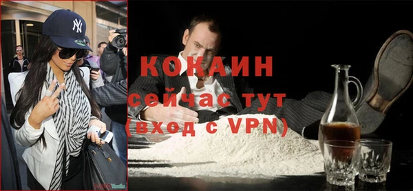 индика Заволжск