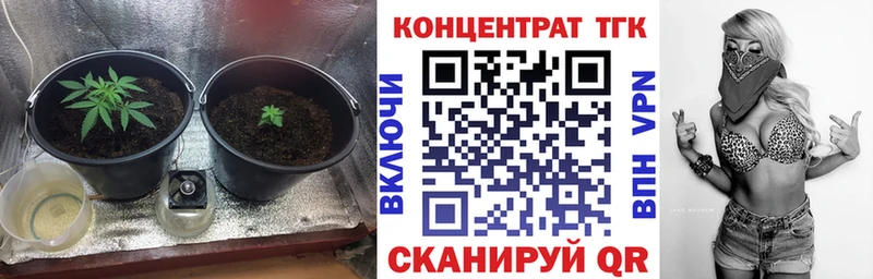 Купить  Иланский  ТГК концентрат 